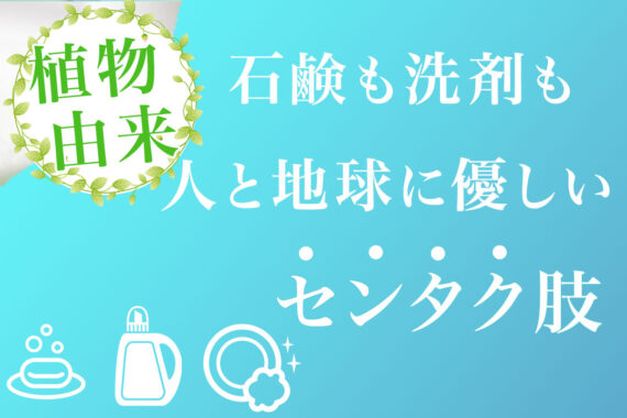 植物由来の洗剤で暮らしに取り入れる「サステナブル」