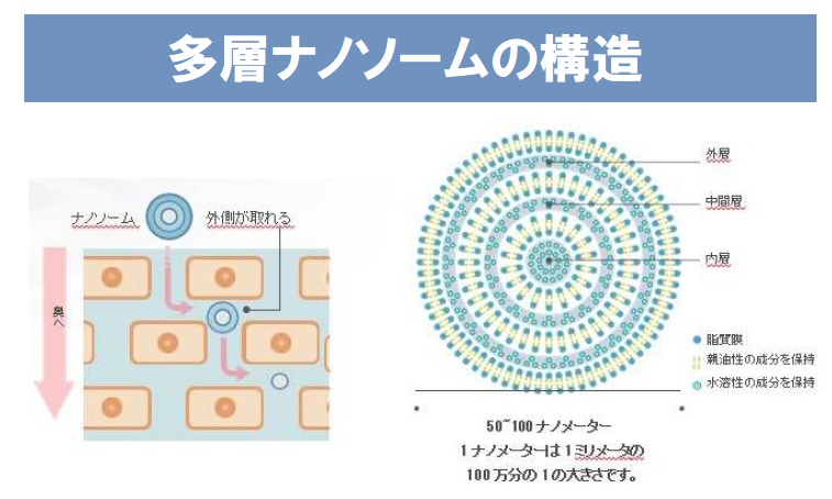 多層ナノソームの構造